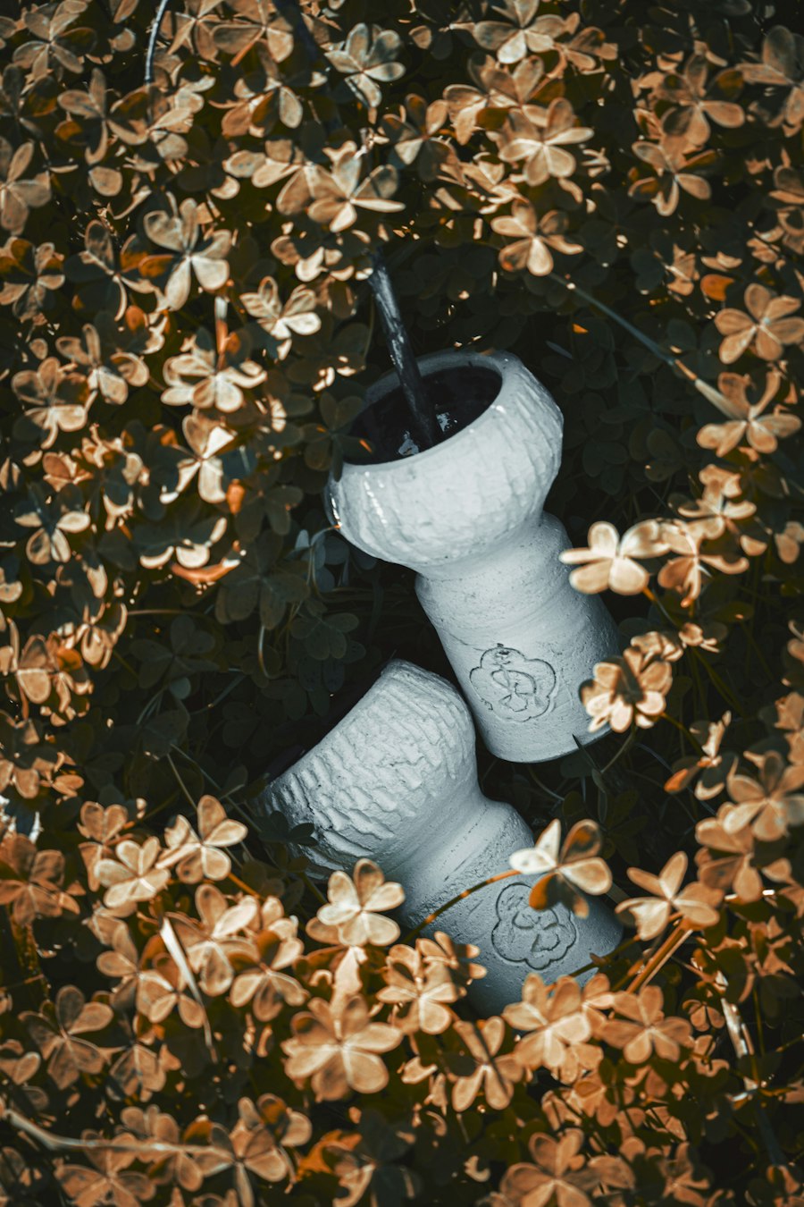 disposable vape