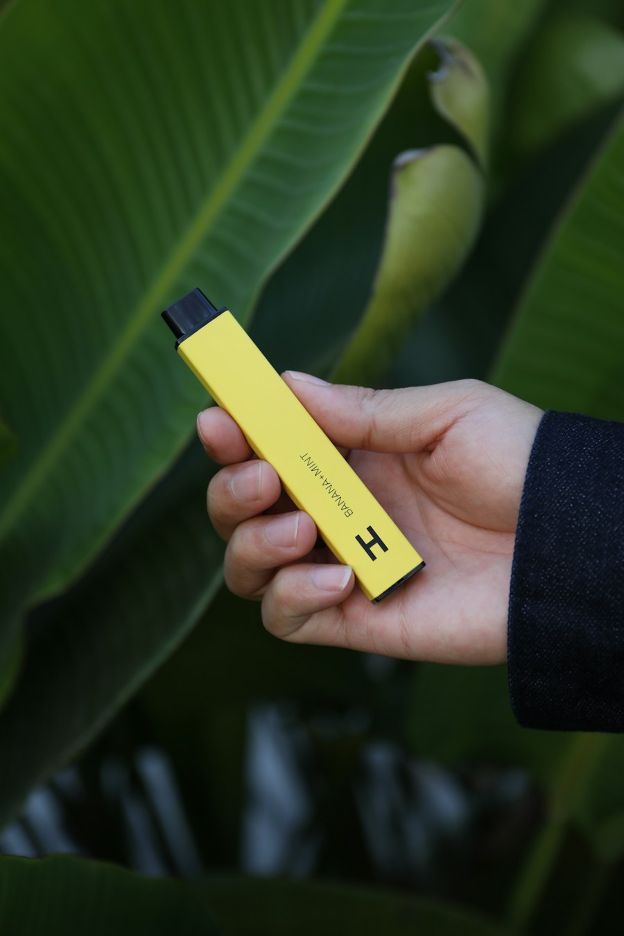 vape starter kit