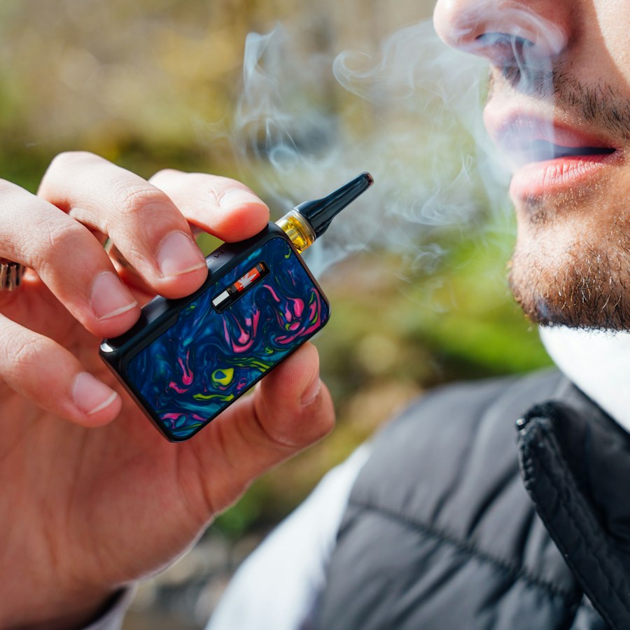 vape travel case