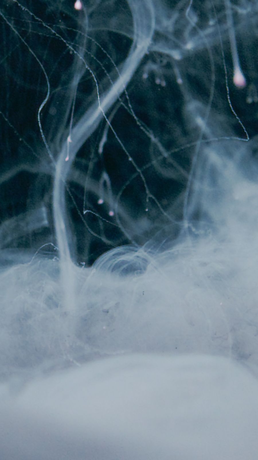 vape cotton